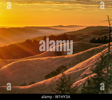 Le coucher du soleil, le Mont Tamalpais, Bolinas Ridge State Park, aire de loisirs nationale du Golden Gate, le comté de Marin, en Californie Banque D'Images