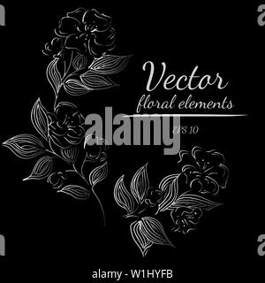 Hand Drawn Vector Illustrations de résumé Série de fleurs isolé sur noir. Croquis dessinés à la main, d'un fleurs. Illustration de Vecteur