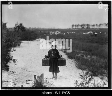 Biodo Rose, Philadelphie, 10 ans. De 3 étés, esprit bébé et porte des baies, picore deux à la fois. Les blancs Bog, Brown Mills, New Jersey. C'est la quatrième semaine d'école et les gens s'attendent à rester ici deux semaines de plus. Banque D'Images