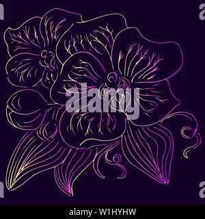Hand Drawn Vector Illustrations d'Abstract orchidée, fleur de violette, jaune et rose Couleurs. Croquis dessinés à la main, d'une fleur Illustration de Vecteur