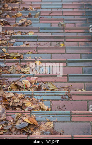 Escaliers couverts de feuilles sèches de l'automne. Banque D'Images