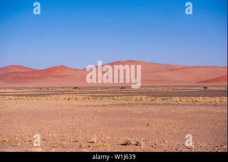 Paysage désertique à Sossusvlei, Namib-Naukluft National Park, Namibie, Afrique du Sud. Banque D'Images