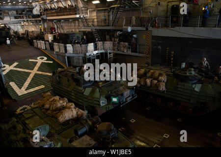 190701-N-DX072-1055 CORAL SEA (1 juillet 2019) marines affectés à la 31e Marine Expeditionary Unit (MEU) se préparer à quitter le pont du coffre du quai de transport amphibie USS Green Bay (LPD 20) agression dans les véhicules amphibies (AAV). Green Bay, partie de la Guêpe groupe amphibie, à 31e MEU, opère dans la région indo-pacifique pour améliorer l'interopérabilité avec les partenaires et servir de force de réaction-prêt pour tout type d'urgence, tout en étant flexible et meurtrières de la force de réaction de crise prêt à réaliser une vaste gamme d'opérations militaires. (U.S. Navy Banque D'Images