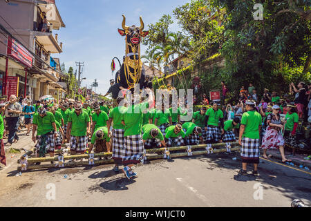 Ubud, Bali, Indonésie - 22 Avril 2019 : Cérémonie de la crémation royale prepation. Les hindous balinais religion procession. Bade et Lembu taureau noir symbole de Banque D'Images