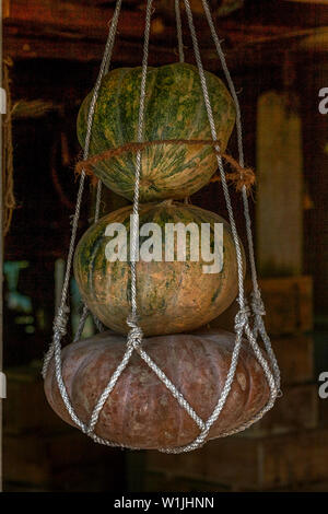 24-jul-2007 cuisine indienne pumpkin hanging out side kitchan Bhubaneswar, Orissa en Inde également comme Bhubaneshwar Banque D'Images