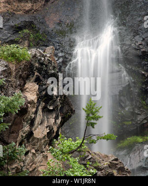 Un arbre de Lone Pine se détache sur les eaux brumeuses de Treasure Falls près de Wolf Creek Pass en dehors de Pagosa Springs, Colorado. (C) 2014 Tom Kelly Banque D'Images