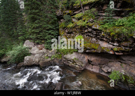 La forêt s'allume en vert comme la branche sud de la rivière Rio Grande cascades en bas de Wolf Creek Pass en dehors de South Fork, Colorado. (C) 2014 Tom Kell Banque D'Images
