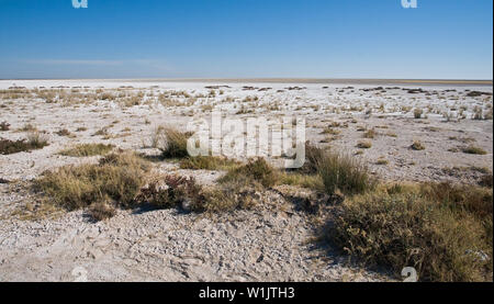 Le sable blanc de l'Etosha se détache sur le ciel bleu brillant à l'Est de l'Okaukeujo en Namibie Etosha National Park. (C) 2008 d Banque D'Images