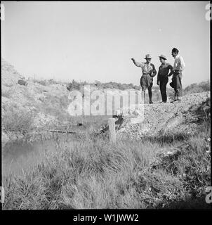 Topaze, Utah. Jeune Volontaire Nisei contremaître agricole inspecte site pour le pont des fossés de drainage . . . ; Portée et contenu : la légende complète pour cette photographie se lit comme suit : Topaze, Utah. Jeune Volontaire Nisei contremaître agricole inspecte site pour le pont des fossés de drainage, ainsi que d'une division agricole contremaître et surintendant. Banque D'Images