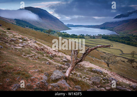 Vue majestueuse sur la montagne panoramique vallée avec le lac.Nuages roulant sur des collines et tronc de l'arbre en premier plan.un paysage idyllique de Lake District, Cumbria, Royaume-Uni. Banque D'Images