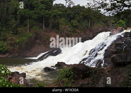 Chutes de Bumbuna sur les rapides de la rivière Rokel près du village de Bumbuna dans le bush, parmi une végétation luxuriante de forêt tropicale, Sierra Leone Banque D'Images