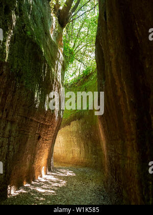 SOVANA, Toscane, Italie - 16 juin 2019 - Via Cava grotte profonde coupure, ie chemins créés par le biais de la civilisation étrusque la roche de tuf, Sovana en Maremme, Italie Banque D'Images