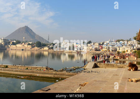Pushkar, Inde - Février 06, 2019 : Ghats à Pushkar lac sacré au Rajasthan Banque D'Images