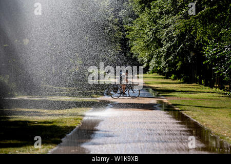 Berlin, Allemagne. 06Th Juillet, 2019. Un cycliste durs au-delà d'un jet d'irrigation à travers le Tiergarten de Berlin. Credit : Christoph Soeder/dpa/Alamy Live News Banque D'Images