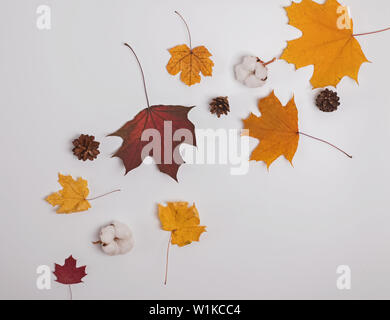 Composition d'automne créatif avec les feuilles jaunes et rouges, des pommes de pin et de coton-tiges sur le fond blanc Banque D'Images