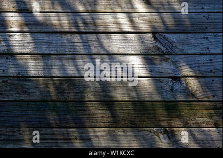 Bois de patin avec l'ombre et la lumière jouant à travers elle Banque D'Images