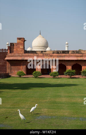 La zone Jilaukhana, Taj Mahal, Agra, Inde Banque D'Images
