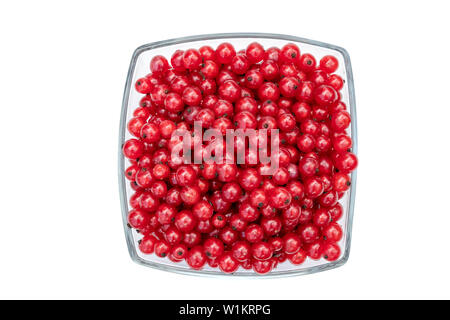 Description : groseilles dans bol en verre isolé sur fond blanc Banque D'Images