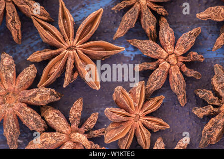 Anis étoile sur un fond dans les tons bleus Banque D'Images