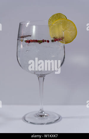 Gin Tonic dans une tasse en verre avec quelques tranches de lime et de citron, le poivre rose et anis sur fond blanc Banque D'Images