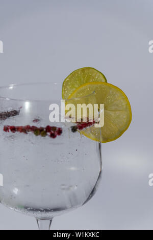 Gin Tonic dans une tasse en verre avec quelques tranches de lime et de citron, le poivre rose et anis sur fond blanc Banque D'Images