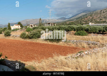 Malia, Crète, Grèce. Juin 2019. Champ labouré dans la communauté rurale de la vieille ville de Malia, Crète. Banque D'Images