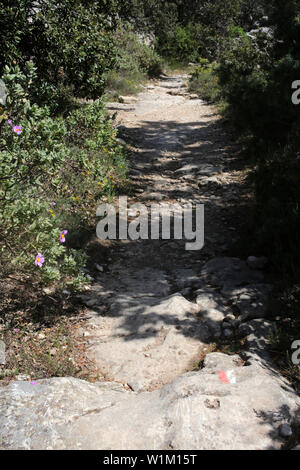 Sentier de randonnée à proximité de Gordes - Vaucluse - France Banque D'Images