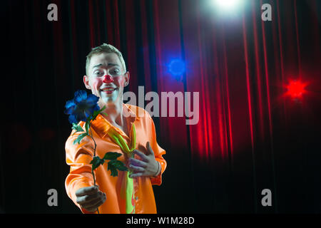 Clown de cirque effectue nombre. Un homme dans un costume de clown avec une fleur Banque D'Images