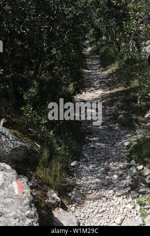 Sentier de randonnée à proximité de Gordes - Vaucluse - France Banque D'Images