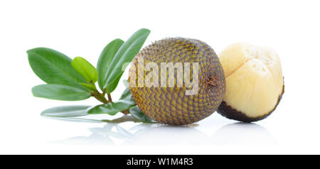 Fruit serpent,Salacca (zakacca,Salak Indo) avec des feuilles vertes isolé sur fond blanc Banque D'Images