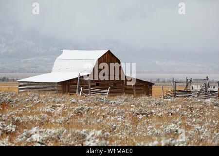 Grange dans la neige au début de l'Antilope Appartements , , Grand Teton National Park , Wyoming , Etats-Unis , Amérique Banque D'Images