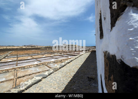 Salines El Carmen à Caleta de Fuste à Las Salinas. Fuerteventura, Îles Canaries, Espagne Banque D'Images