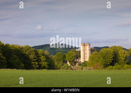 Château Kasselburg, près de Vulkaneifel, Pelm, Eifel, Rhénanie-Palatinat, Allemagne Banque D'Images