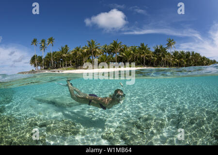 Plongée avec tuba au large de l'île bordée de palmiers, Fadol, Kai, îles Moluques, Indonésie Banque D'Images