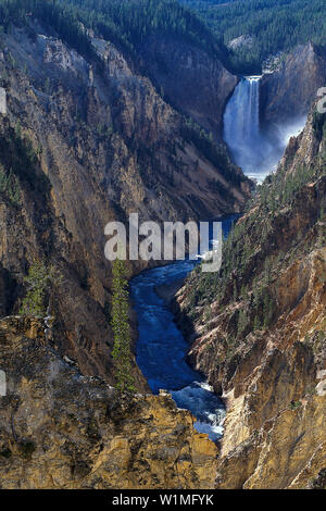 Lower Falls, Grand Canyon, vue de l'artiste edition, Yellowstone NP , Bretagne France Banque D'Images