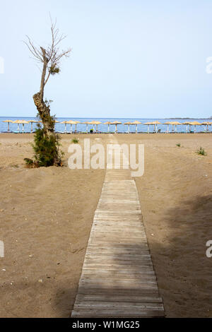 Tamarinier arbre sur une vaste plage de sable fin avec une longue promenade menant à la mer et de parasols, à Paleochora, S.W.Crète, Grèce Banque D'Images