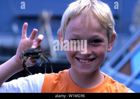 Boy Holding Crab, Fjord & Balt Centre, Kerteminde, Danemark, Funen Banque D'Images