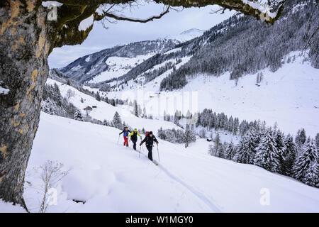 Trois personnes ski de l'ordre croissant à l'Sonnenjoch Sonnenjoch, Alpes, Kitzbühel, Tyrol, Autriche Banque D'Images