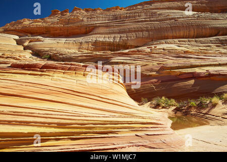 Coyote Buttes North , près de la , Paria Canyon - Vermillion Cliffs Wilderness , Arizona , Etats-Unis , Amérique Banque D'Images