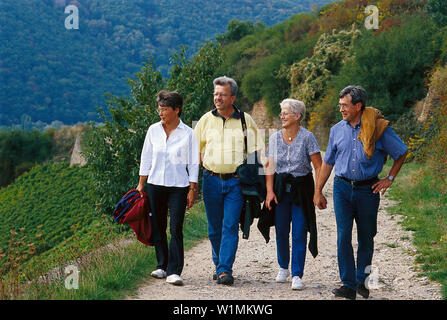 Randonneurs sur le Rieslingpfad, Ruedesheim, Assmannshausen Rheingau, Hesse, Allemagne Banque D'Images