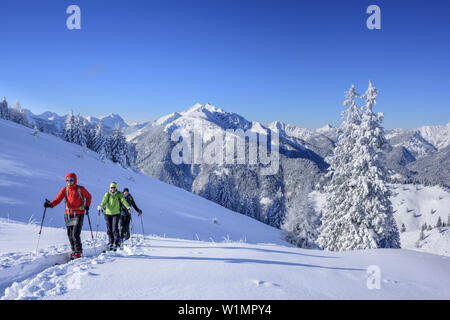 Trois personnes ski croissant pour Trainsjoch, Mangfall éventail en arrière-plan, Trainsjoch, Alpes bavaroises, Upper Bavaria, Bavaria, Germany Banque D'Images