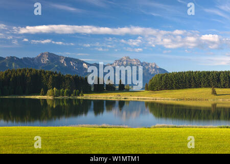 Voir plus de Forggensee, Saeuling Tegelberg et château de Neuschwanstein, Allgaeu, Bavaria, Germany Banque D'Images