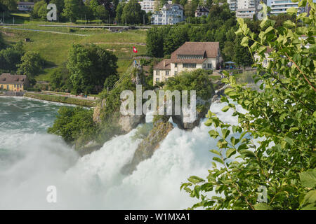 Laufen, Suisse - 7 juin 2019 : les chutes du Rhin cascade vu depuis le château de Laufen. Les chutes du Rhin (en allemand : cascade Rheinfall) est situé à Banque D'Images