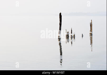 Lac de Constance en hiver, près de Uberlingen, Baden-Wurttemberg, Allemagne Banque D'Images