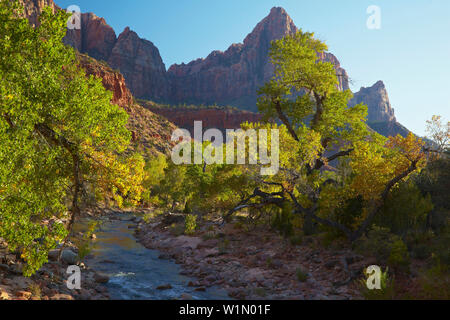 , Virgin River North Fork , Pa' rus Trail , Zion National Park , Utah , Arizona , Etats-Unis , Amérique Banque D'Images