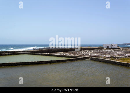 Salines El Carmen à Caleta de Fuste à Las Salinas. Fuerteventura, Îles Canaries, Espagne Banque D'Images