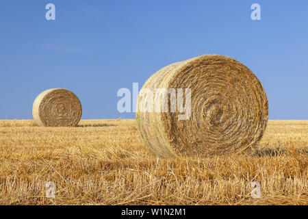 Bottes de paille près de Bregninge, île de ærø, au sud de la Fionie, archipel des îles de la mer du sud du Danemark, Danemark du Sud, Danemark, Scandinavie, dans le Nord de l'Europe Banque D'Images
