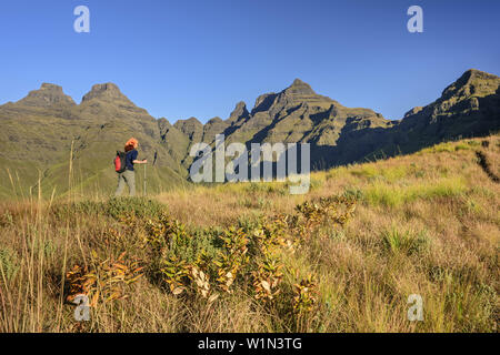 Femme randonnée, corne intérieure, l'avertisseur sonore, la cloche et le pic de la cathédrale en arrière-plan, Cathedral Peak, Mlambonja Wilderness Area, Drakensberg, uKhahlamba-Dr Banque D'Images