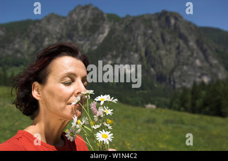 Woman smelling white ox-eye marguerites sur un chemin de randonnée, Hengstpass, Haute Autriche, Autriche Banque D'Images