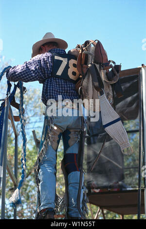 Cowboy, Rodeo, Kununurra, Kimberleys, Australie L'Australie Occidentale Banque D'Images